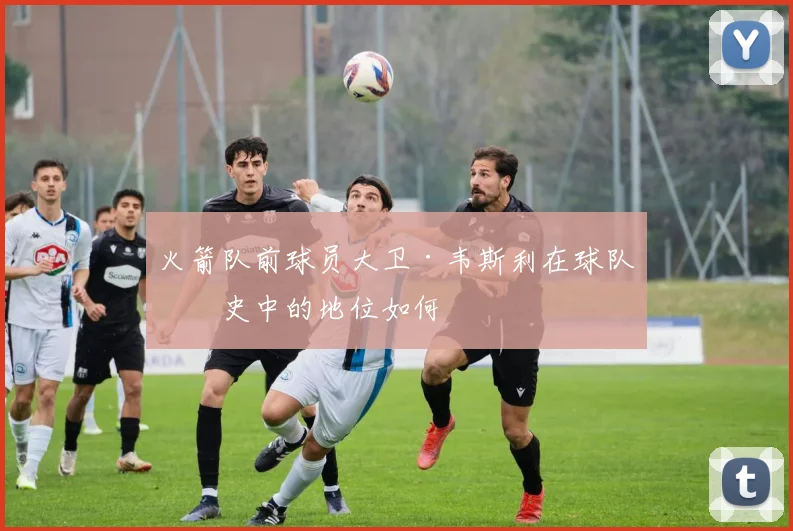 火箭队前球员大卫·韦斯利在球队历史中的地位如何